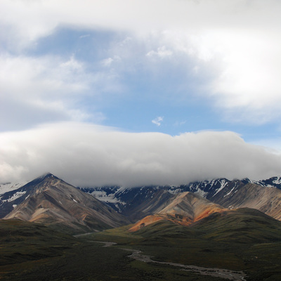 Denali National Park