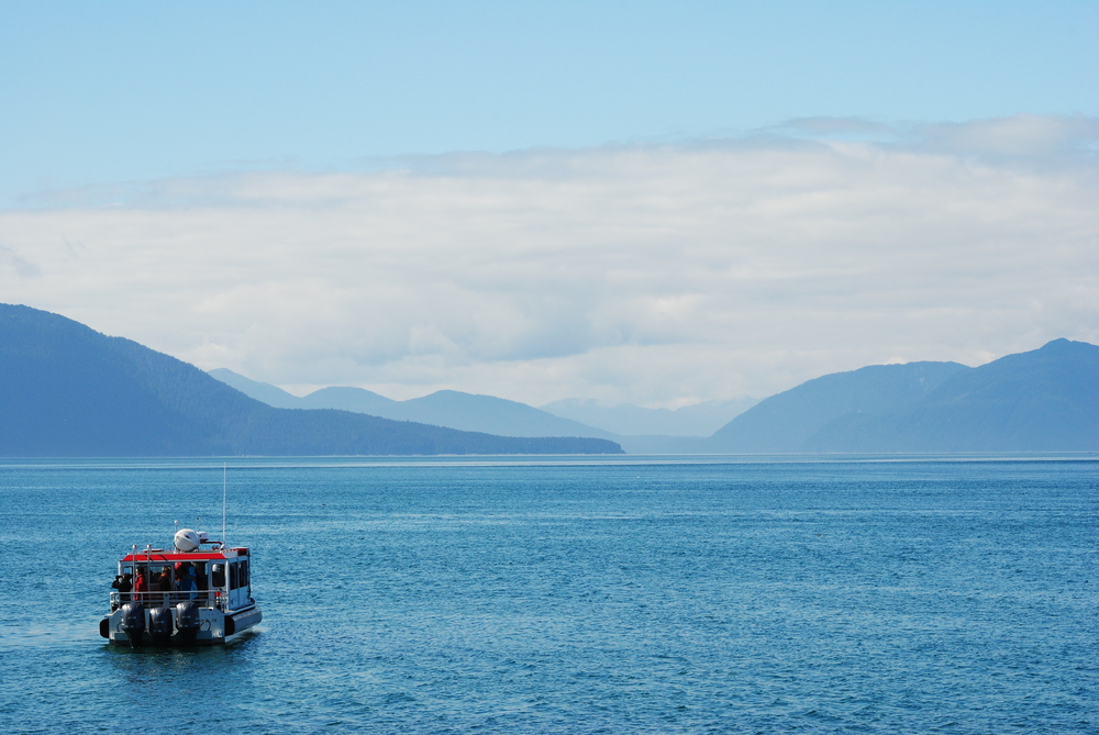 whale watching boat in alaska